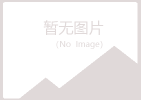 菏泽夏槐化学有限公司